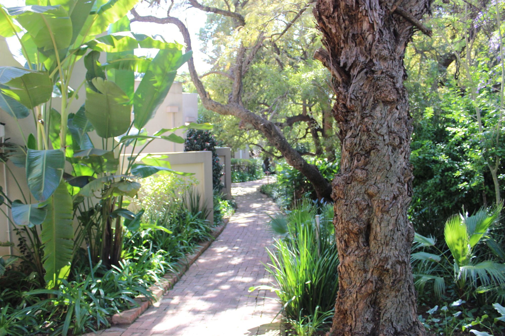 Village Ridge Boutique Stays Pretoria-Noord Zewnętrze zdjęcie